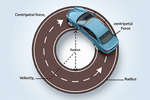 Centripetal Force Calculator